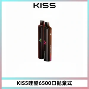 KIS5WAGOO哇酷6500口拋棄式 | 自由混搭雙口味 | 雙芯組合